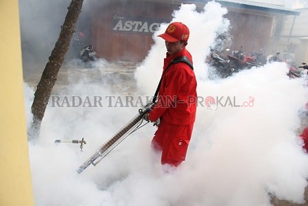 di-kaltara-tujuh-orang-meninggal-dunia-akibat-dbd