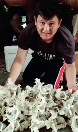 TURUN HARGA: Pengepul sarang burung walet Zoel Batalas saat memperlihatkan sarang burung miliknya. (Riko Ismanto/Radar Tarakan)