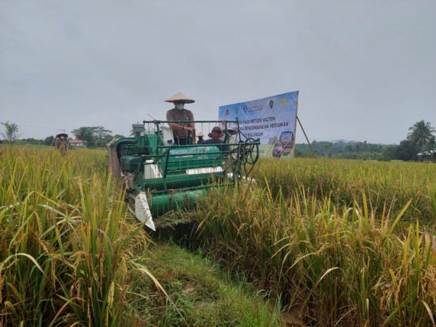 PANEN PADI: Gubernur Kaltara, Zainal Arifin Paliwang saat mengikuti panen padi di kawasan pertanian di Bulungan beberapa waktu lalu./PIJAI PASARIJA/RADAR KALTARA