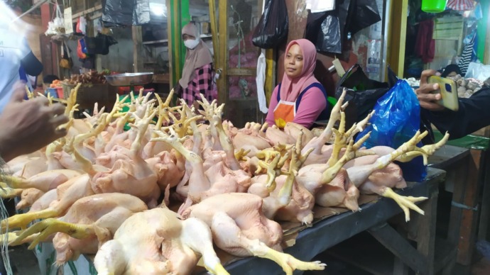 BANYAK STOK: Harga daging ayam terbilang masih stabil dan belum mengalami kenaikan yang signifikan. (Ifransyah/Radar Tarakan)