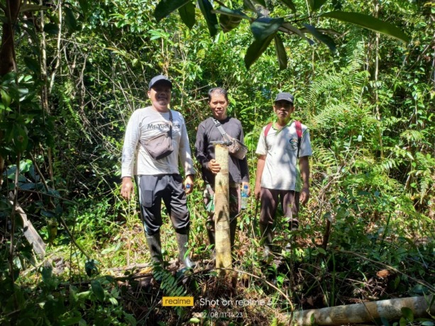 SURVEI TANAH NEGARA: Pihak Perumahan Rakyat dan Kawasan Permukiman serta Pertanahan Nunukan melakukan sosialisasi draf IMTN. DOK PERKIMTAN