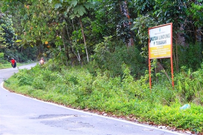 (IFRANSYAH/RADAR TARAKAN)  HUTAN LINDUNG: Tampak papan larangan membangun di kawasan hutan lindung Pulau Tarakan di Jalan Gunung Selatan.