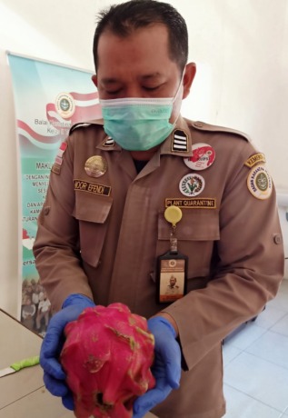 KE PASAR INTERNASIONAL: Sejumlah komoditas pertanian Kaltara siap ekspor ke luar negeri.