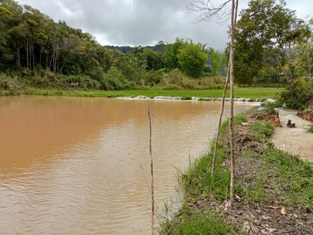 TERENDAM BANJIR: Puluhan hectare sawah terendam banjir di Krayan. FOTO: DOK WARGA