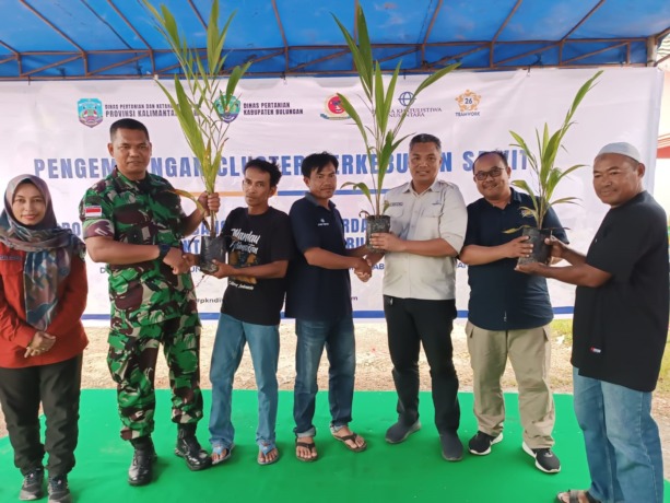 EKONOMI: Penyerahan bibit sawit kepada petani mandiri binaan PT PKN di Desa Tanjung Agung. IWAN K/RADAR KALTARA