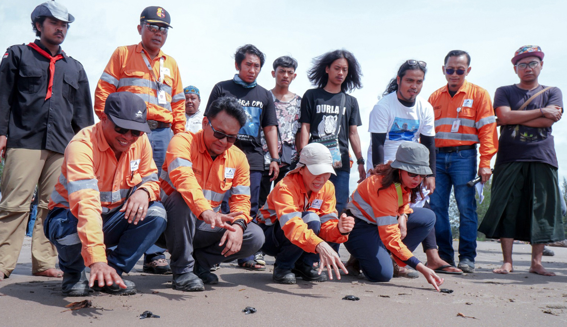 Bersama masyarakat dan pecinta lingkungan, PT Agincourt Resources melepas tukik di Pantai Barat Muara Opu, Kecamatan Batangtoru, Tapanuli Selatan, pada Minggu (7/1/2024). (Dok: PTAR)