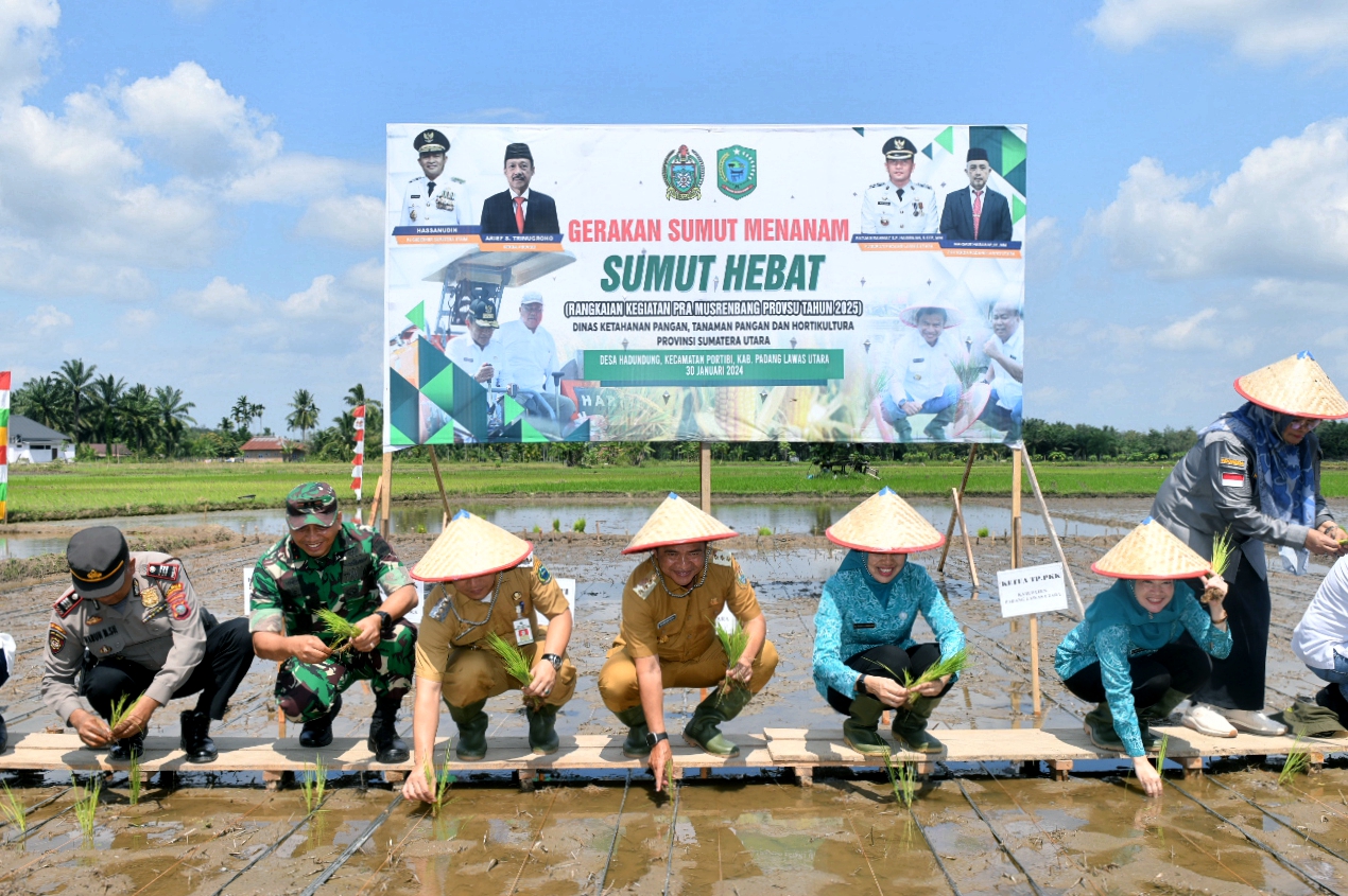 TANAM PADI: Pj Gubsu Hassanudin bersama Pj Ketua TP PKK Sumut, Dessy menanam bibit padi dalam rangka Gerakan Sumut Menanam di Desa Hadundung Kecamatan Portibi, Paluta, Selasa ( 30/1/2024).  Ist