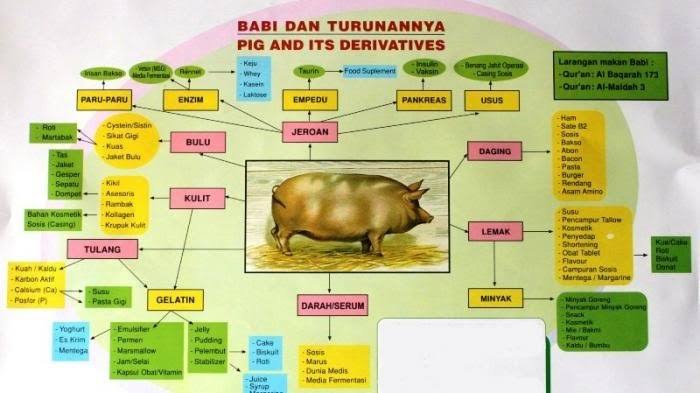 Ilustrasi kandungan babi dalam macam-macam produk.