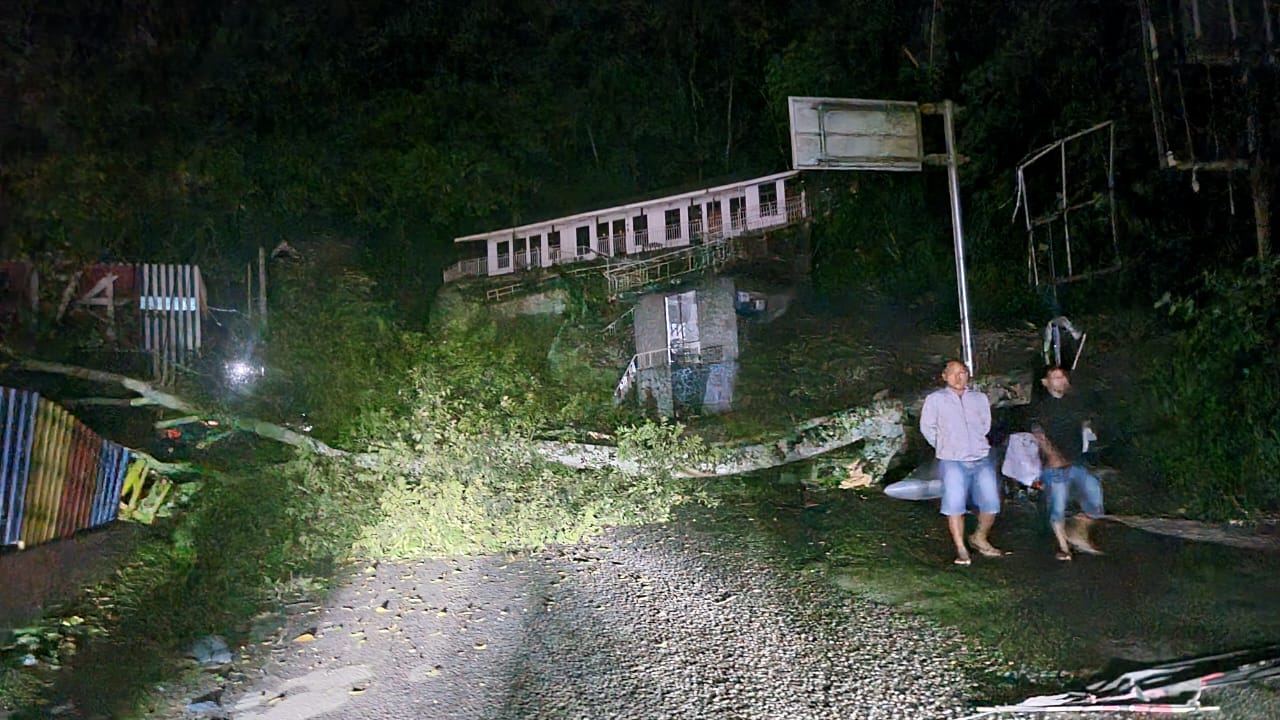 Pohon tumbang di jalur lintas Parapat, Senin (29/4) dini hari.