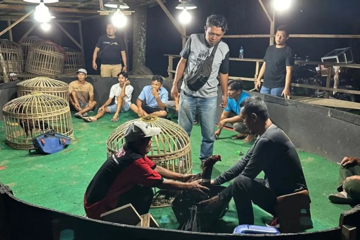 Personel Polres Simalungun mengamankan lokasi perjudian sabung ayam dan tujuh warga terlibat praktik perjudian itu.