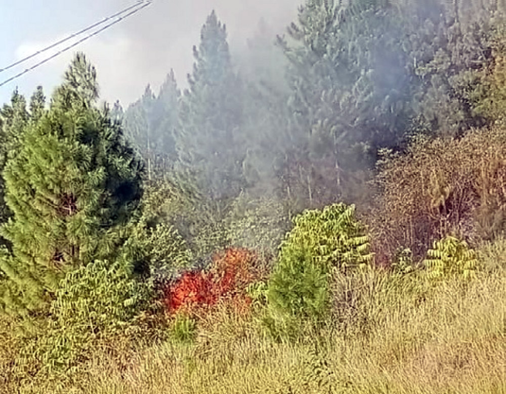 Hutan di Desa Huta Lottung, Muara, Kabupaten Tapanuli Utara terbakar.