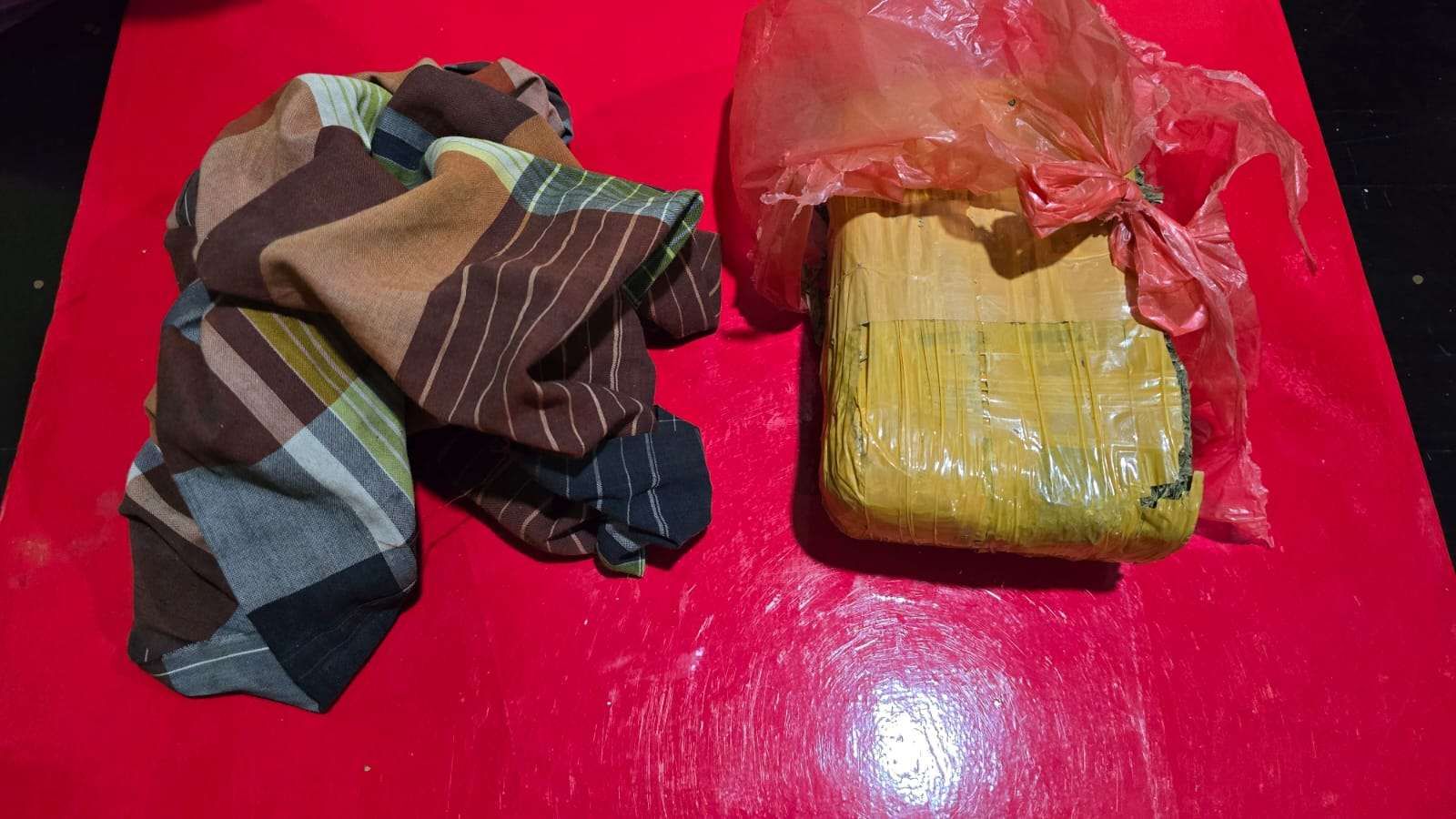 Barang bukti ganja yang diamankan.