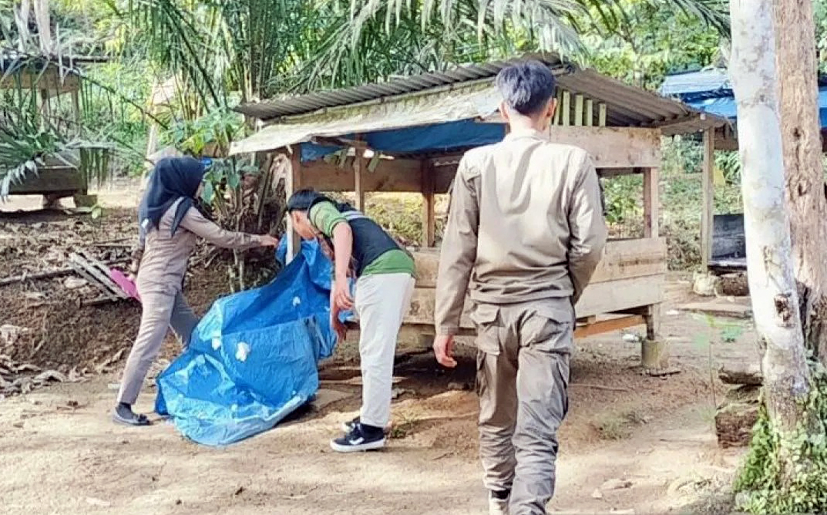 Satpol PP Kota Padangsidimpuan menertibkan pondok terlarang di Bukit Simarsayang, Kota Psp.