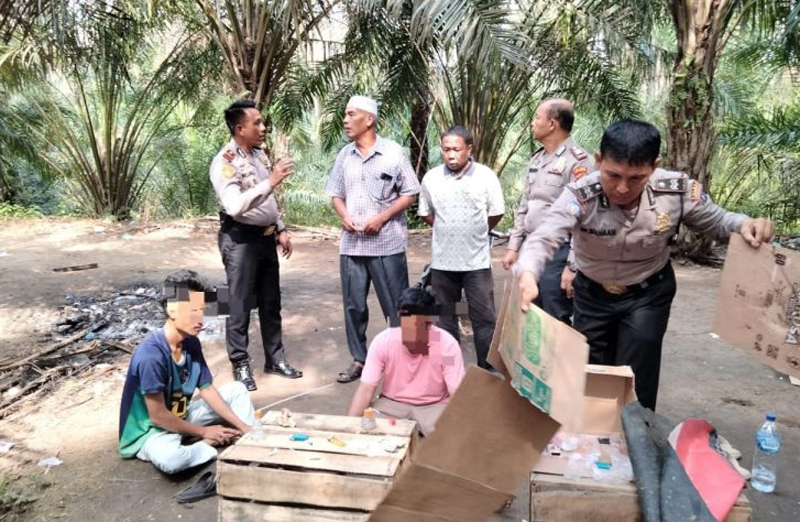 Lokasi penggerebekan di kebun sawit.
