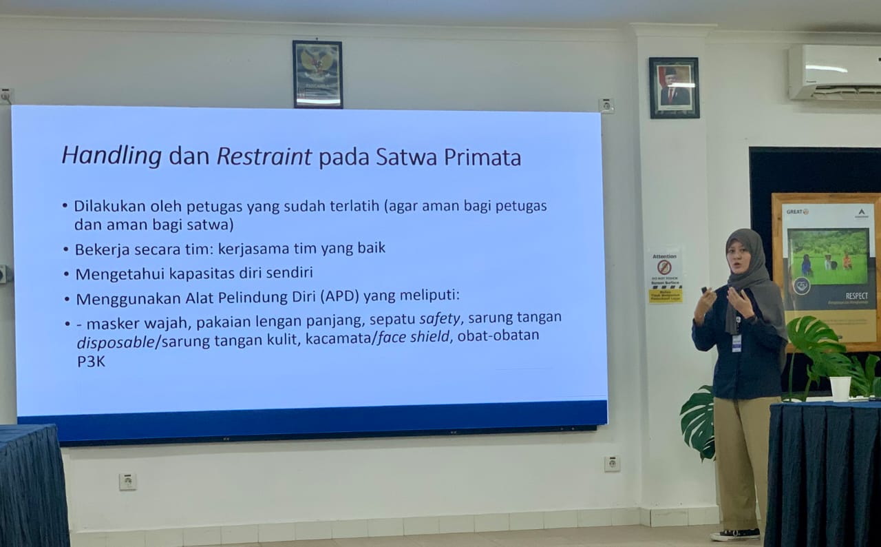 PT Agincourt Resources, pengelola Tambang Emas Martabe, melatih para karyawan Perusahaan cara penanganan dan evakuasi satwa primata, 6-7 September 2024.