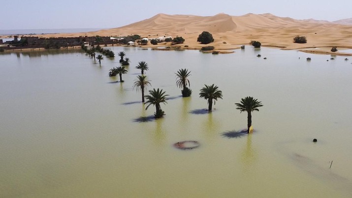 Pohon palem terendam di danau akibat hujan deras di kota gurun Merzouga, dekat Rachidia, tenggara Maroko, Rabu, 2 Oktober 2024.