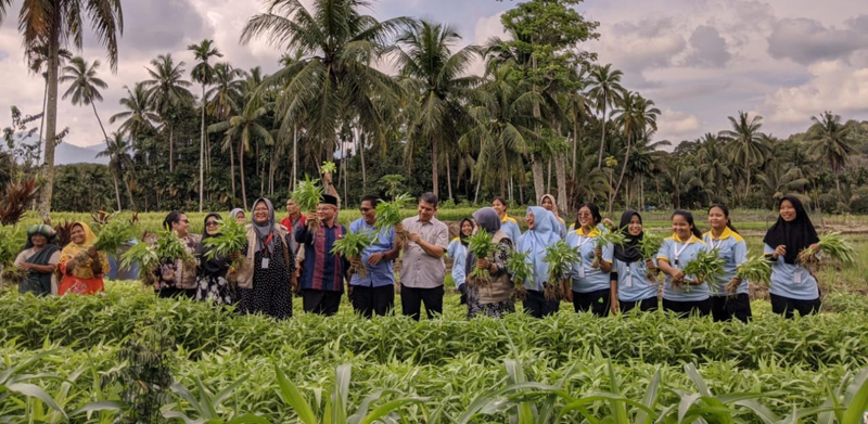 Bangun ketahanan pangan masyarakat program kerja KKL UGN Psp berhasil panen sayur menggunakan aplikasi teh kompos di 10 Desa Kecamatan Angkola Selatan.