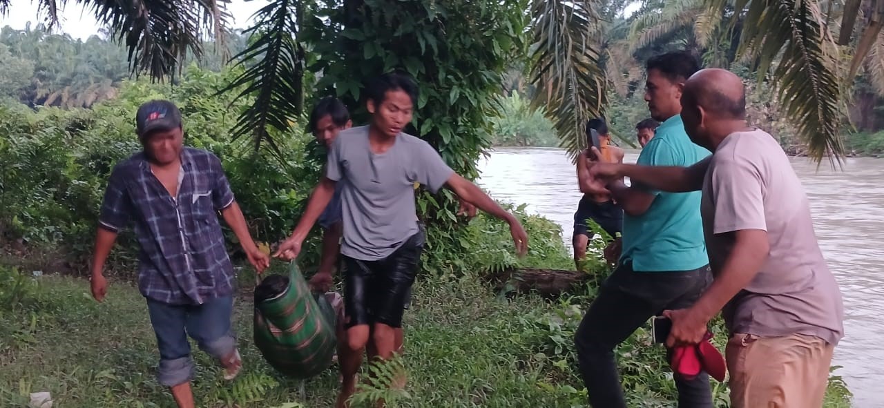Upaya evakuasi jenazah yang ditemukan di perkebunan kelapa sawit.