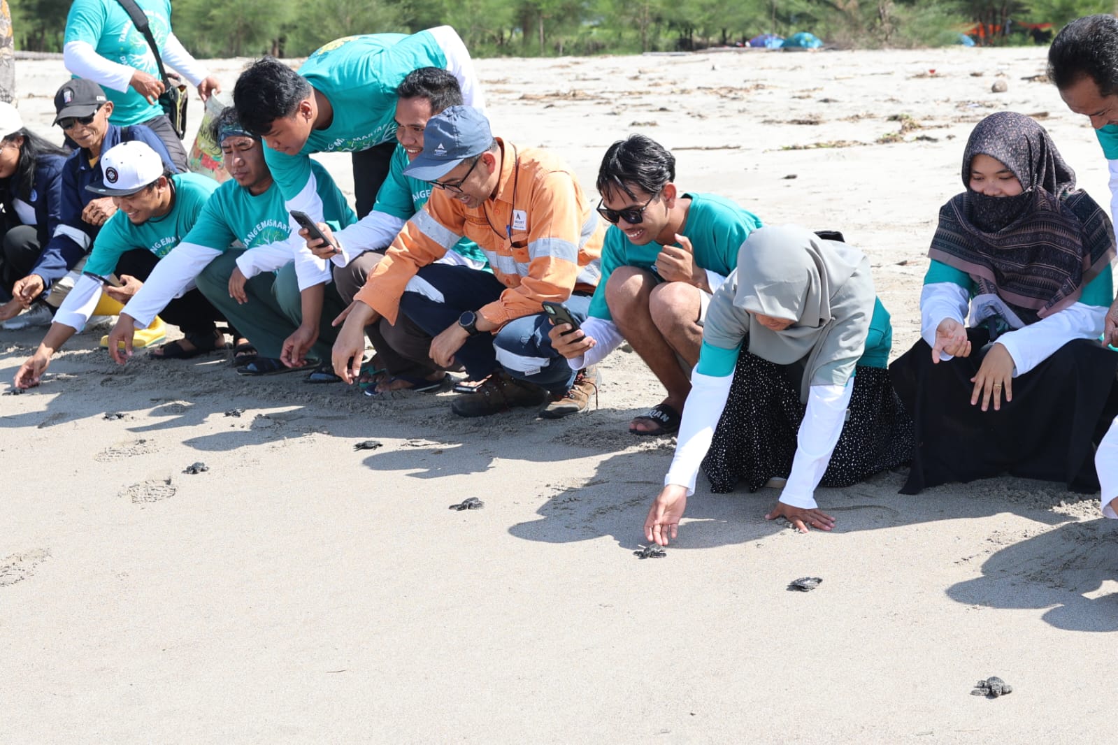 Puluhan anak penyu (tukik) dilepas ke laut lepas oleh Lembaga Ovata Indonesia bersama dengan komunitas aktivis, pemerintah, dan PT Agincourt Resources, 29 Desember 2024.