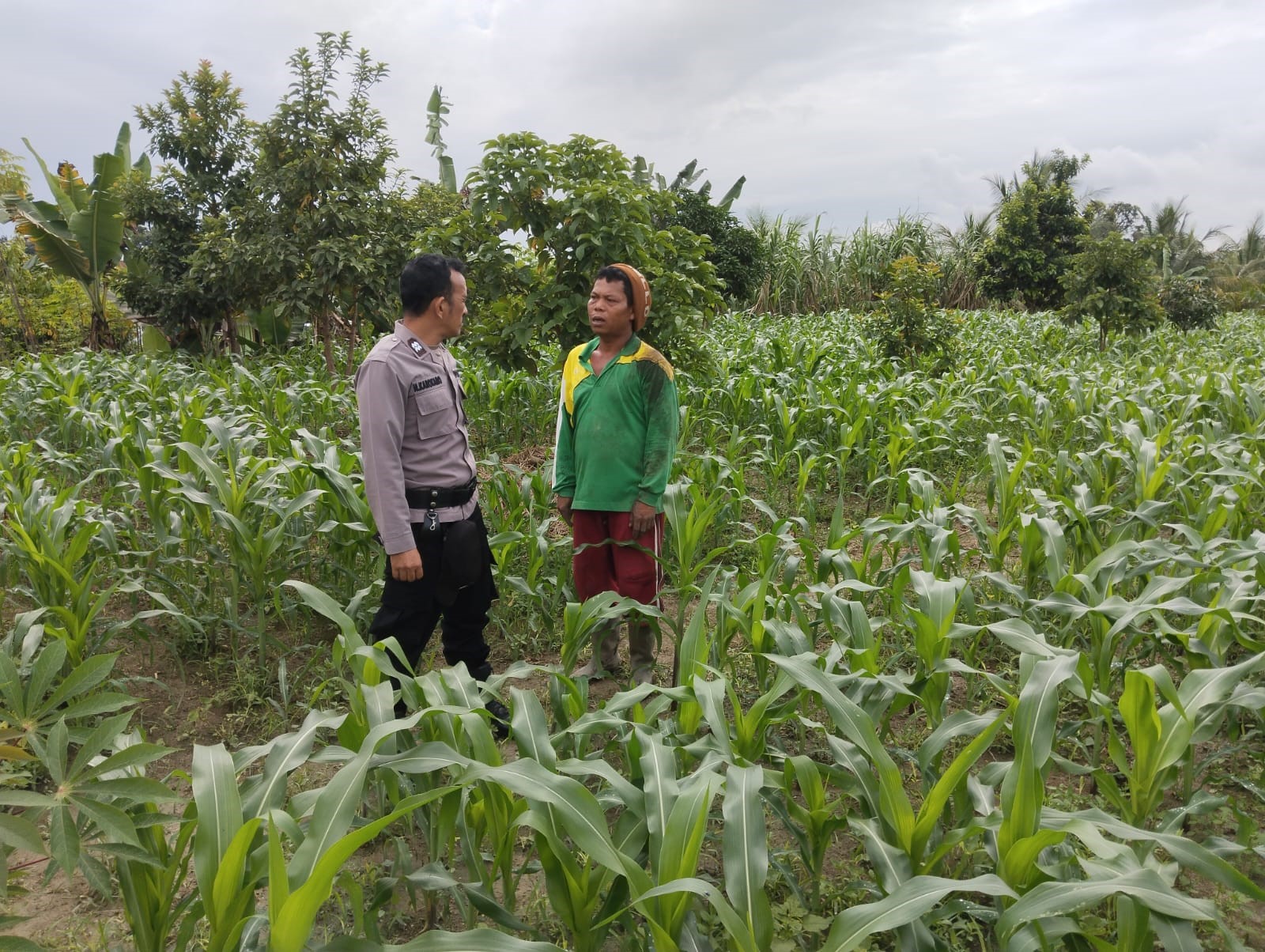 Bhabinkamtibmas Polsek Siantar Martoba menyambangi warga binaan.