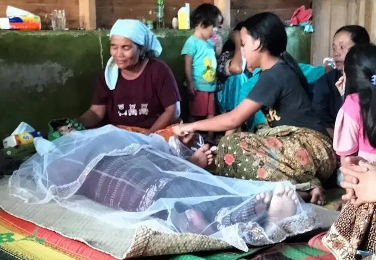 Jauli Nadapdap tewas akibat sengatan kerumunan lebah, Senin (13/1).