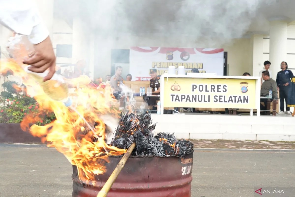 Polres Tapanuli Selatan memusnahkan barang bukti narkotika jenis sabu dan ganja di Mapolres Tapanuli Selatan (Tapsel), Kamis (13/2).