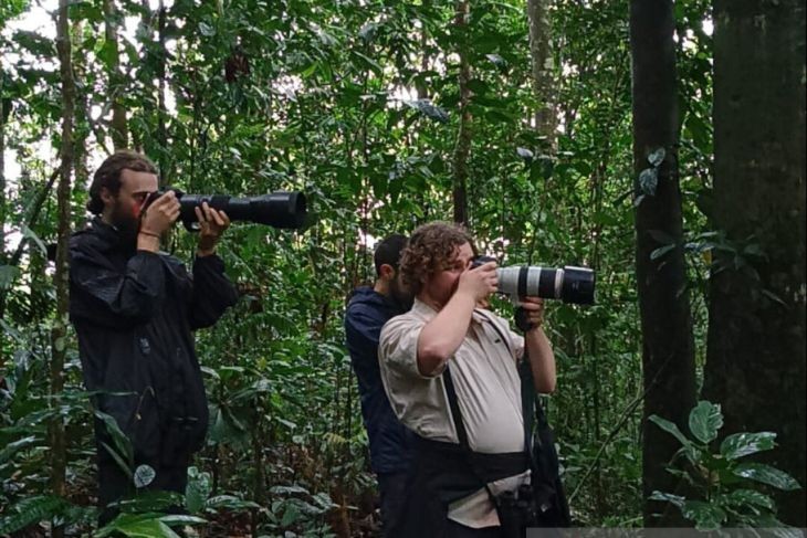 Turis mengabadikan kekayaan hayati di Hutan Tapanuli di sekitaran Desa Bulu Mario, Kecamatan Sipirok.