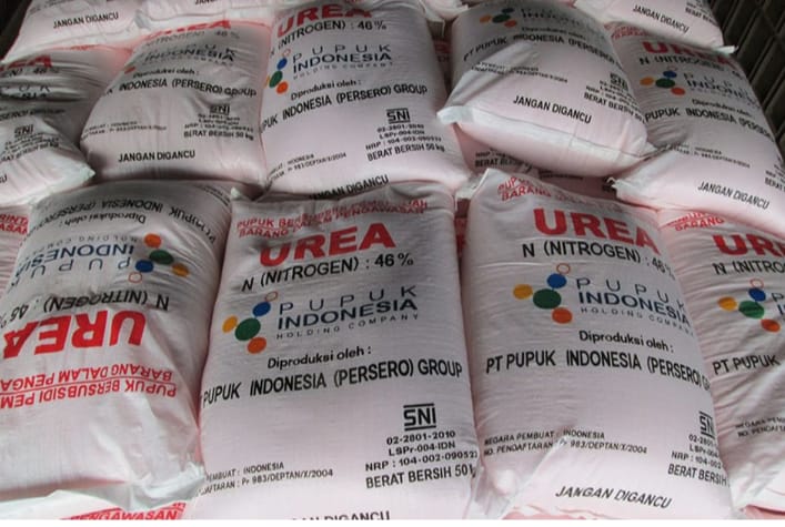 Pupuk Urea Bersubsidi.