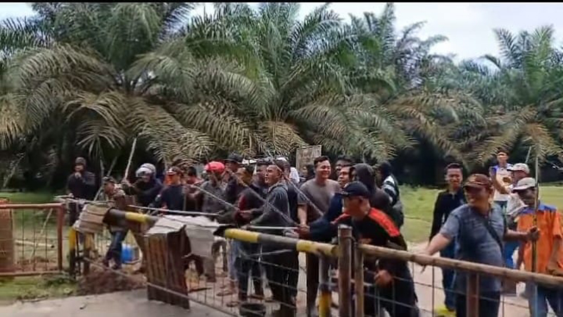 Petugas Keamanan PT Padasa Kebun Teluk Dalam cekcok dengan masyarakat pemilik ternak.