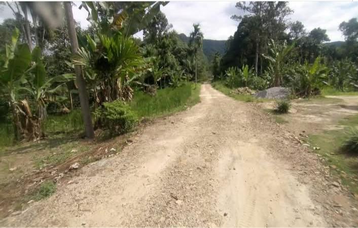 Pihak pengembang pembukaan lahan Sikirang merealisasikan pembangunan jalan di Dusun Onggol Desa Sihas Toruan, Kecamatan Tarabintang, Sumatera Utara.