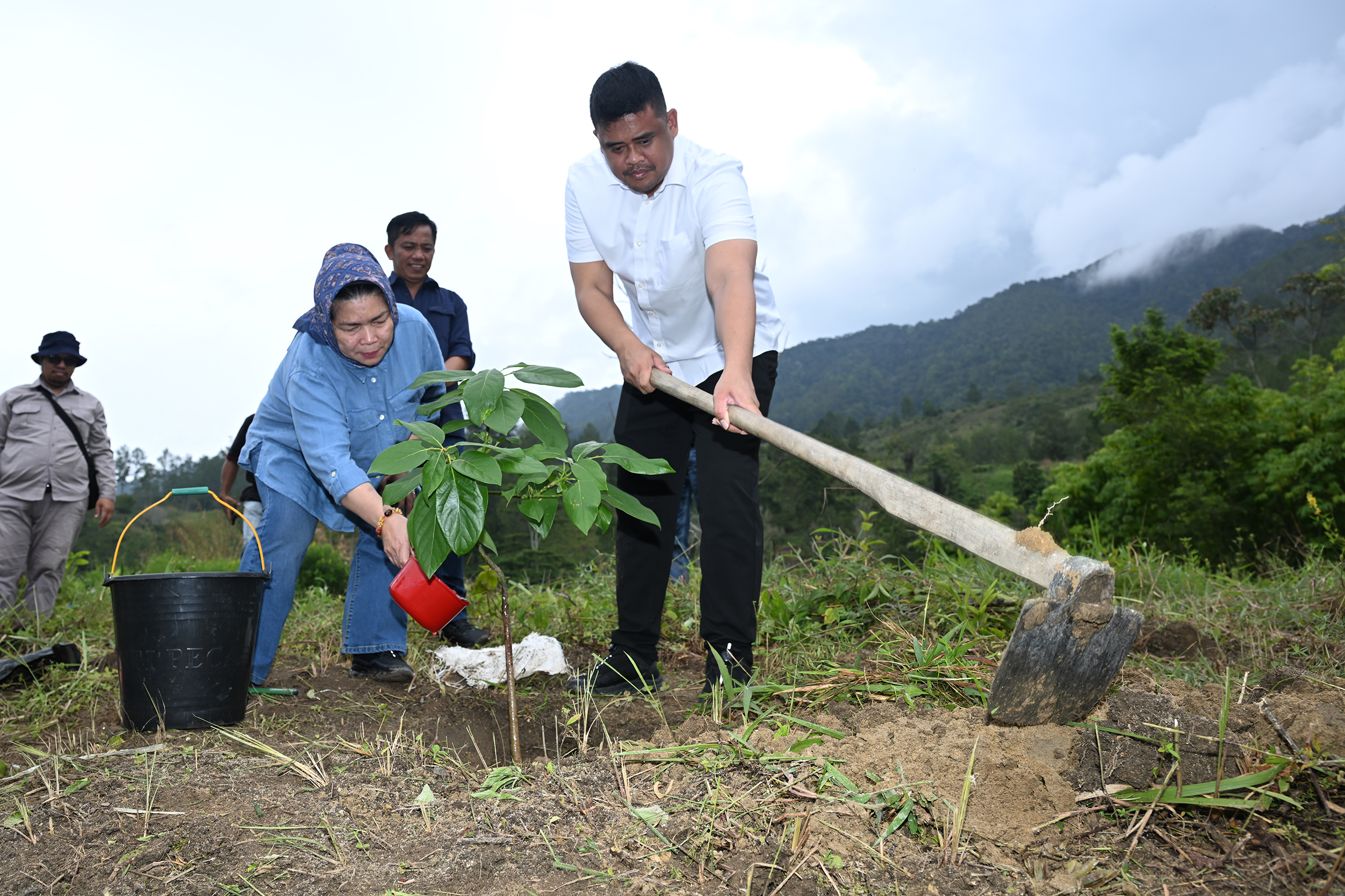 Gubernur Sumut Muhammad Bobby Afif Nasution didampingi Kadishut Sumut, Yuliani Siregar melakukan peninjauan sekaligus penanaman pohon di Tiga Raja, Simalungun, Jumat.