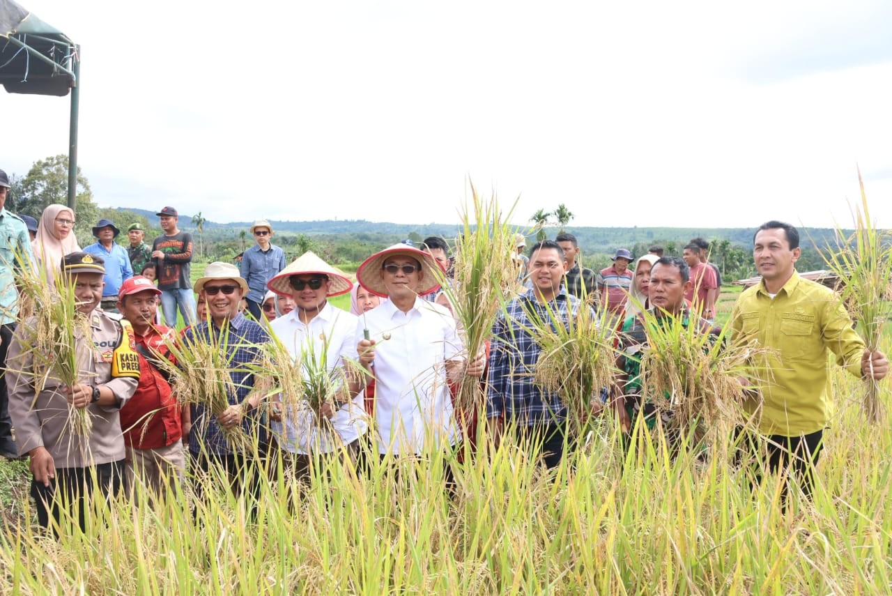 Bupati Tapsel, H.Gus Irawan Pasaribu, mengikuti panen raya nasional bersama Presiden RI Prabowo Subianto melalui daging di Desa Pargarutan Julu.