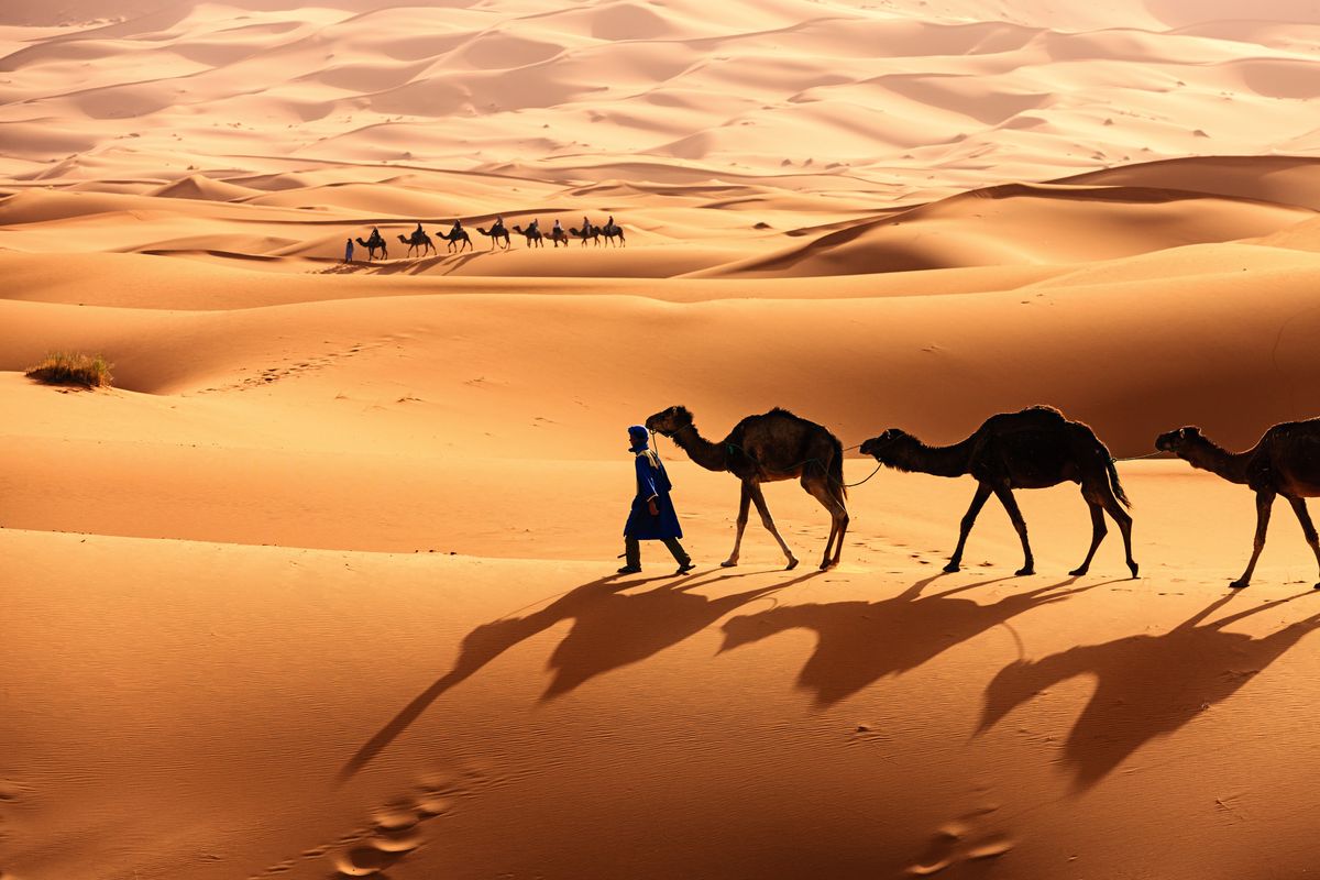 Gurun Sahara yang kini dikenal kering dan gersang, ternyata pernah menjadi tempat tinggal subur bagi manusia.