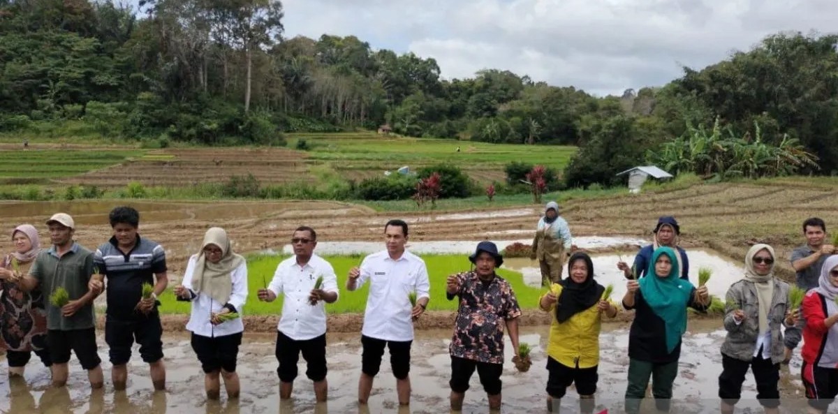 Gerakan Tanam Padi Serentak secara Nasional digelar di Desa Saro Godung, Kecamatan Sipirok, Kabupaten Tapanuli Selatan.