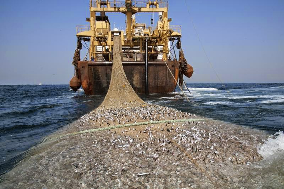 Pukat trawl - Ilustrasi.