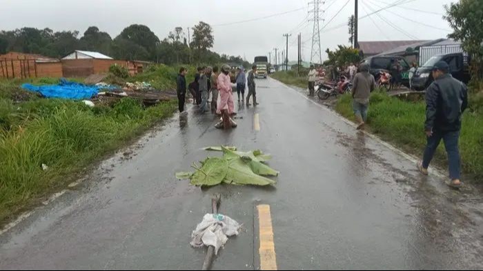 Aparat Polsek Parbuluan melakukan cek TKP kecelakaan maut.