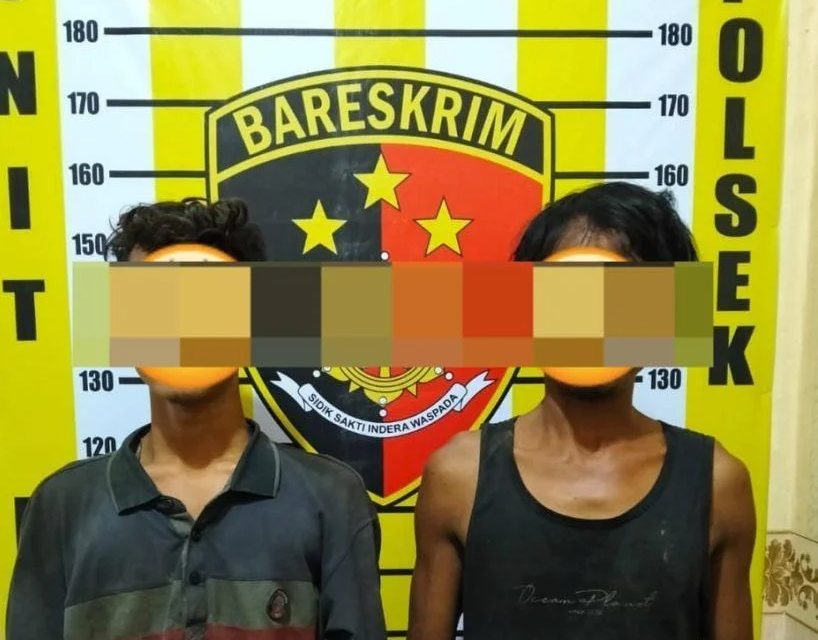 Pelaku pencurian hasil perkebunan yang merugikan masyarakat maupun perusahaan di Labusel.
