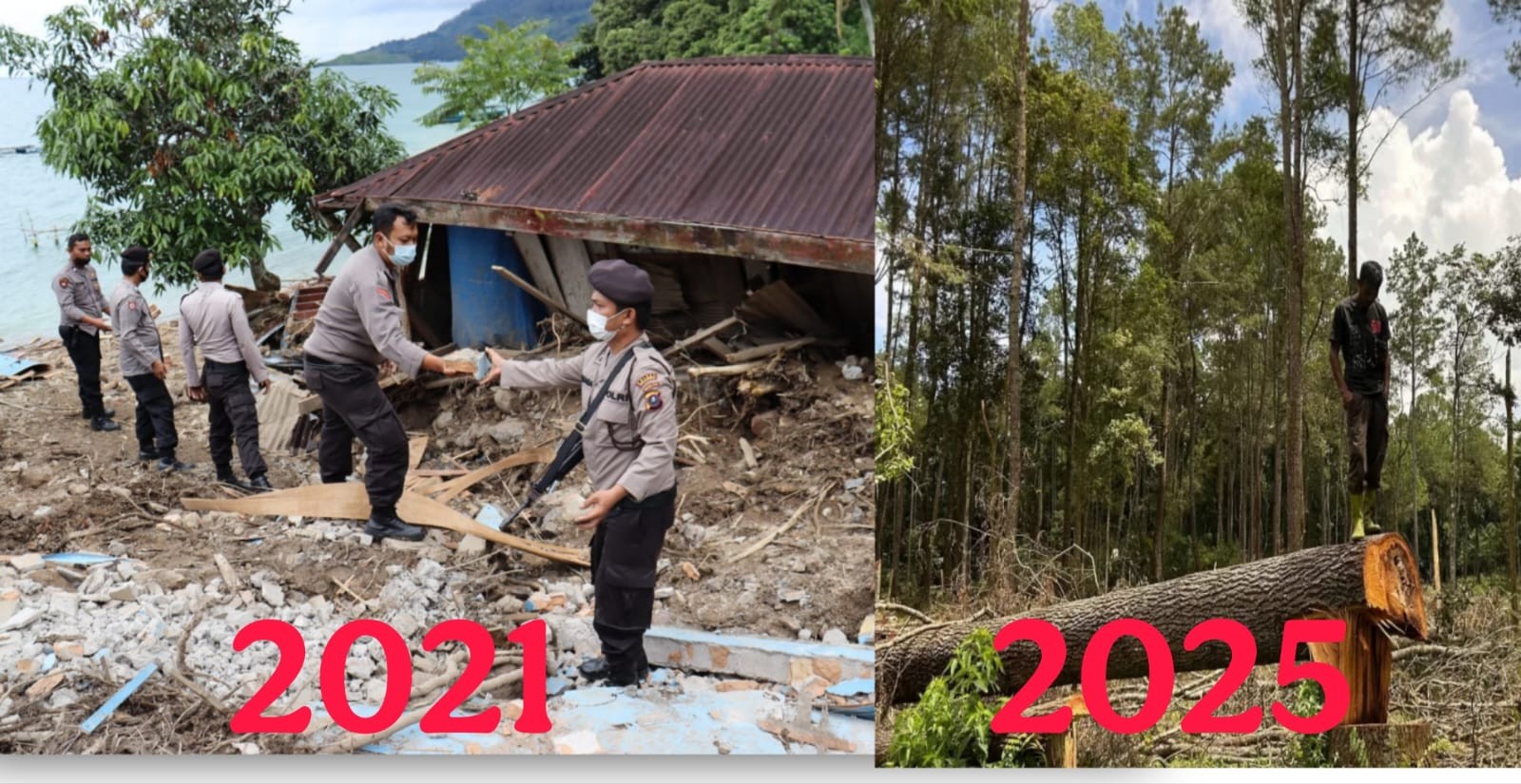 Longsor yang terjadi tahun 2024 lalu, dan kondisi hutan saat ini.