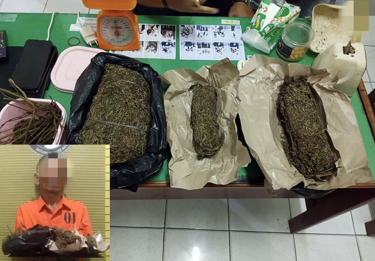 Tiga bal ganja kering yang dibungkus plastik hitam masing-masing 1 kg, berikut tersangka pengedar (insert).