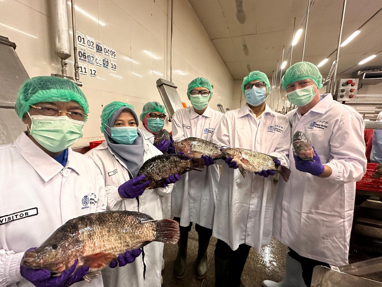 Ikan tilapia produksi Regal Springs Indonesia.
