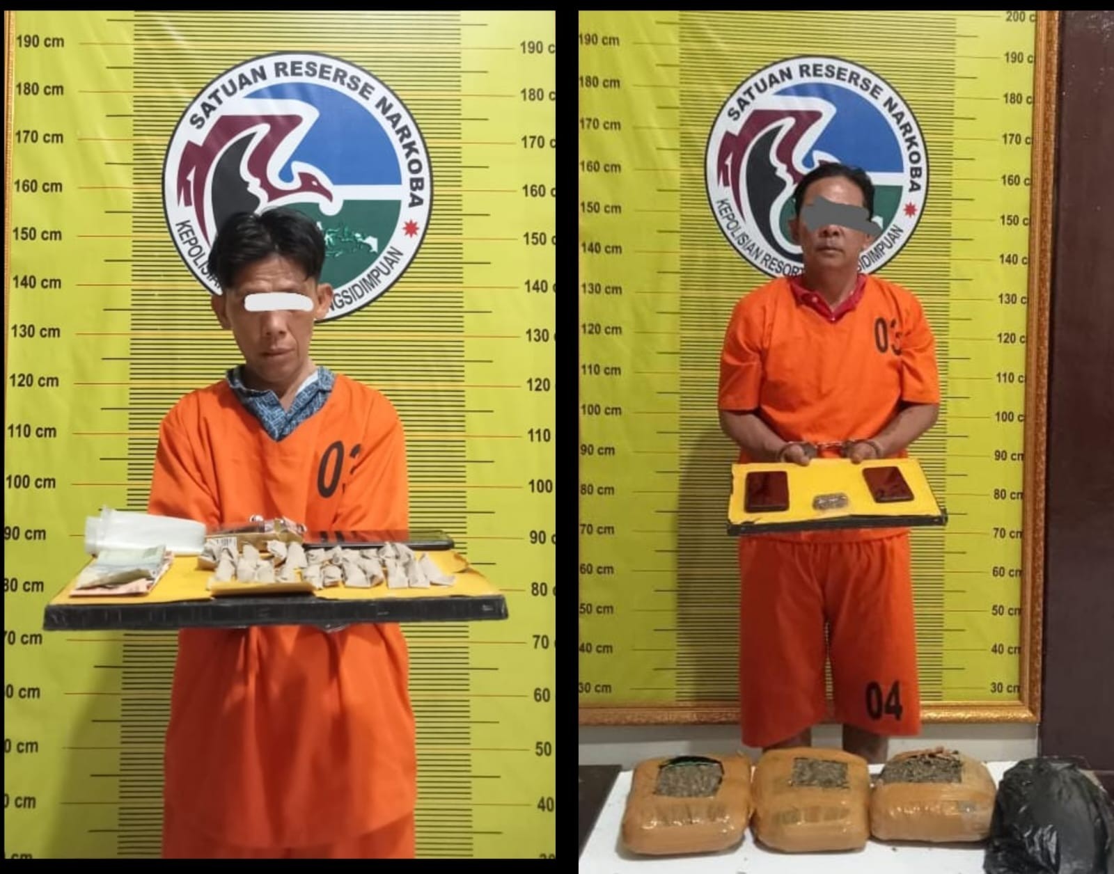 Dua pria pengedar ganja, MS (43) dan ASG (48), yang diamankan Polres Padangsidimpuan.
