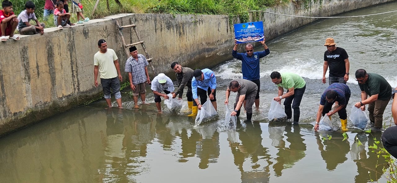 Bupati Gus Irawan bersama Wakil Ketua DPRD Tapsel Abdul Basith Dalimunthe menabur 6.000 benih ikan.