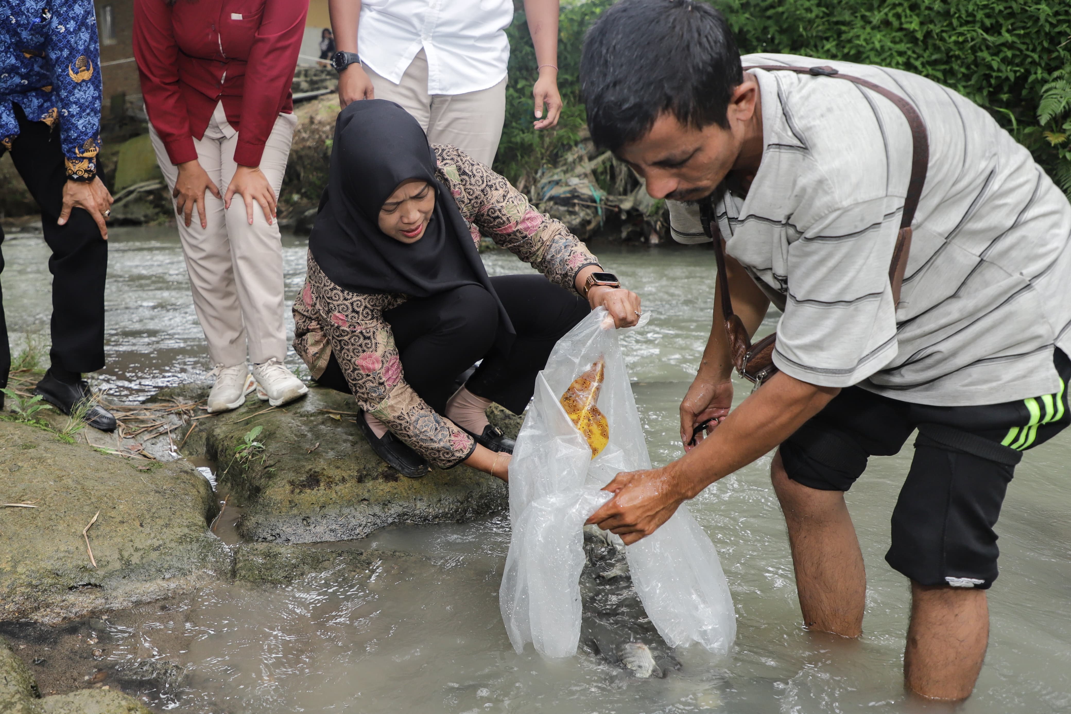 Wakil Wali Kota Pematangsiantar Herlina menebar bibit ikan Nila di dua lokasi, Selasa (20/05/2025) sore.