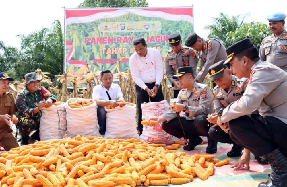 Kapolres Tapteng panen raya jagung di wilayah Sibabangun.