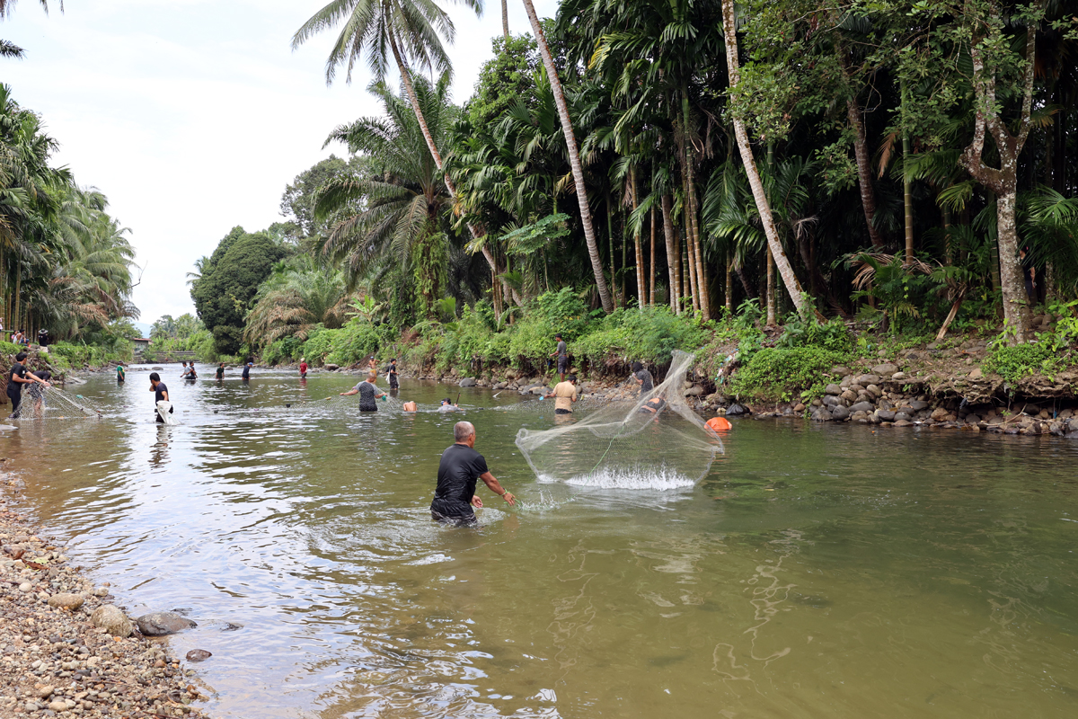 Warga Desa Garoga bersama tim PT Agincourt Resources saat panen ikan dari lubuk larangan di Sungai Garoga, Senin (19/5/2025).