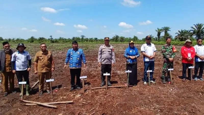 PT Grahadura Leidong Prima melaksanakan kegiatan tanam jagung perdana seluas 5 hektare.
