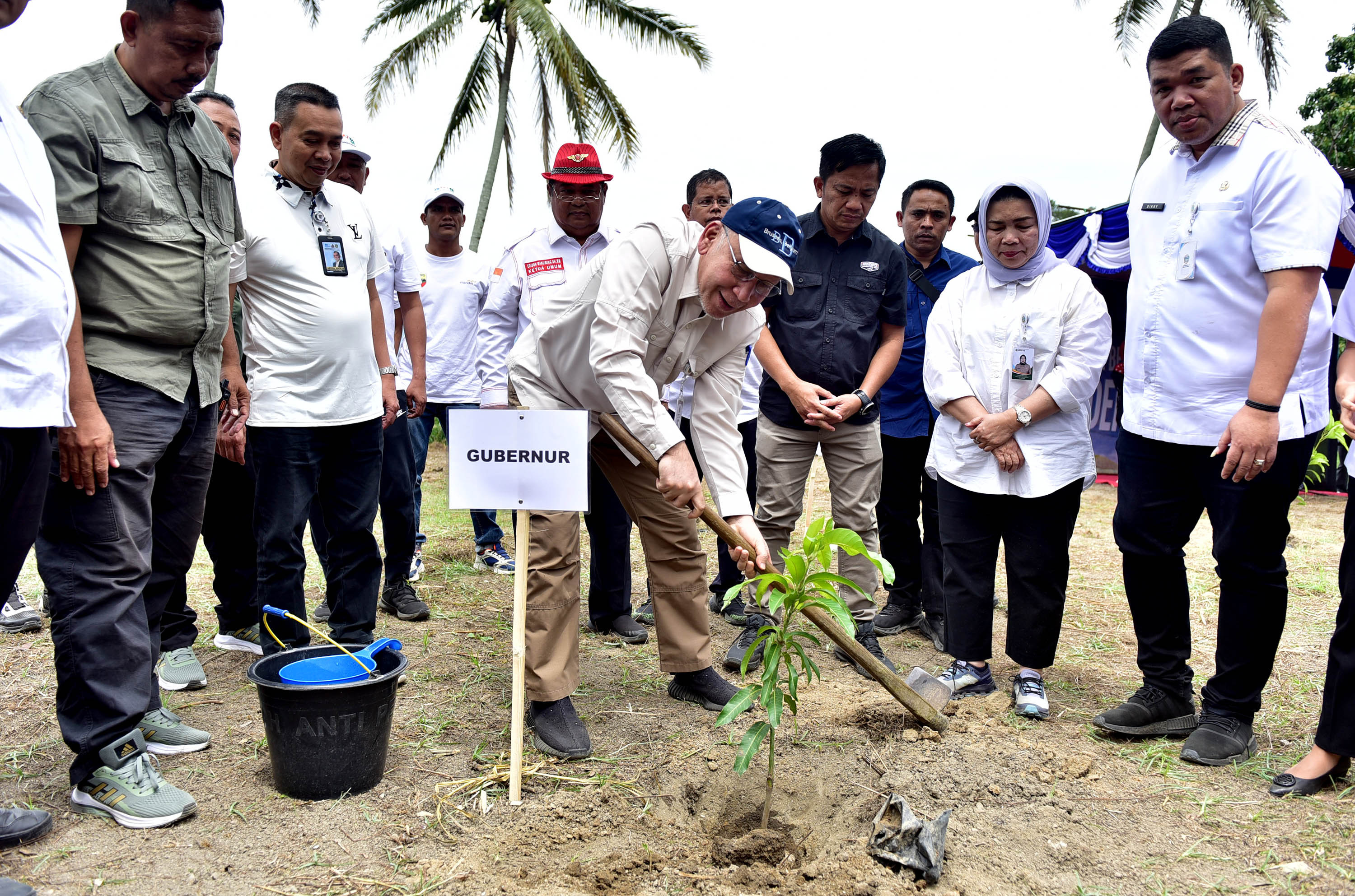 Pj Sekdaprov Sumut Effendy Pohan didampingi  Kadis LH dan Kehutanan, Yuliani Siregar dan Plt Kadispar Sumut, melaksanakan penanaman pohon dalam rangka gerakan bersama untuk Kaldera Toba..