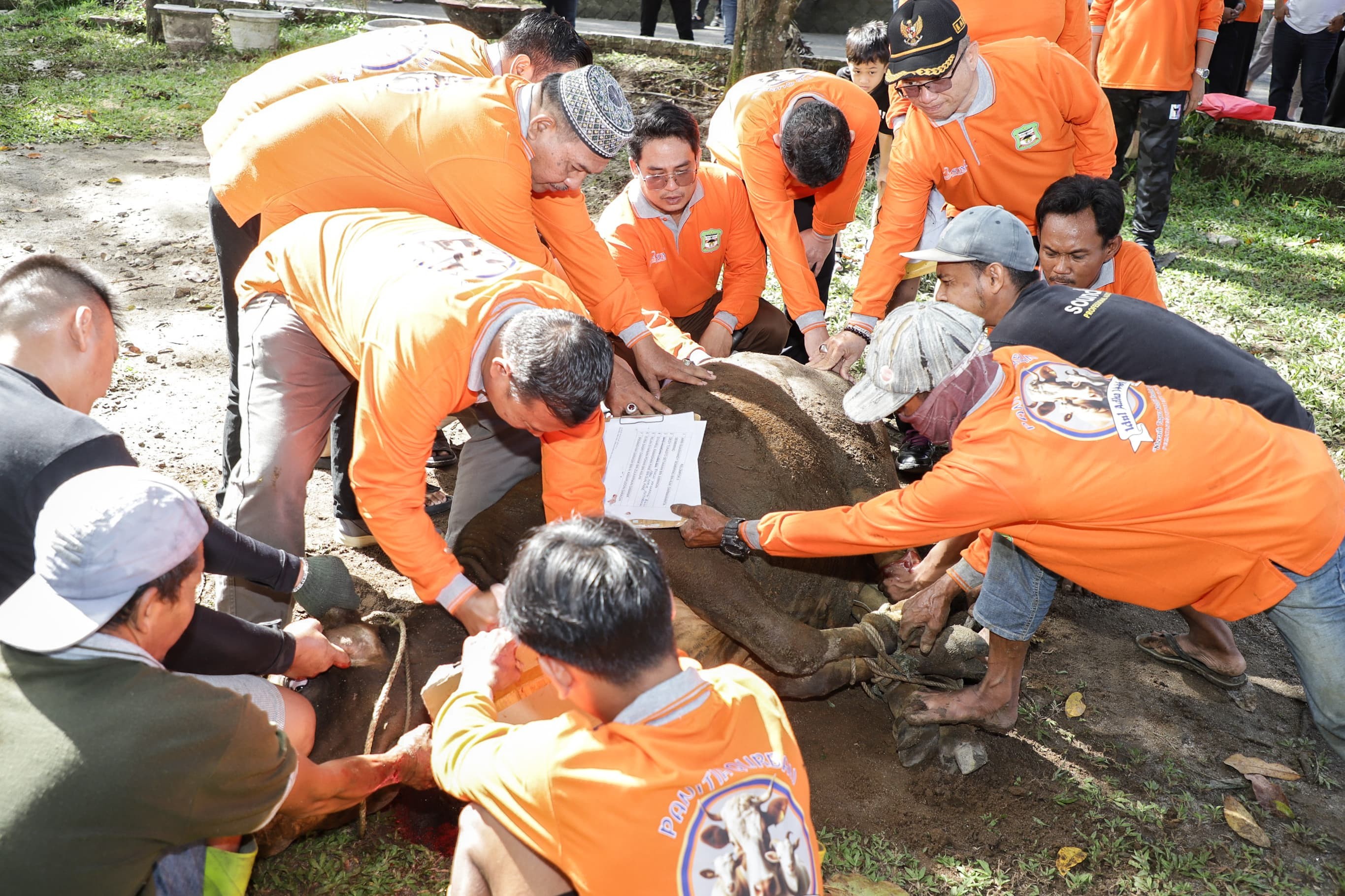 Penyembelihan hewan kurban di halaman rumah dinas Wali Kota Pematangsiantar.