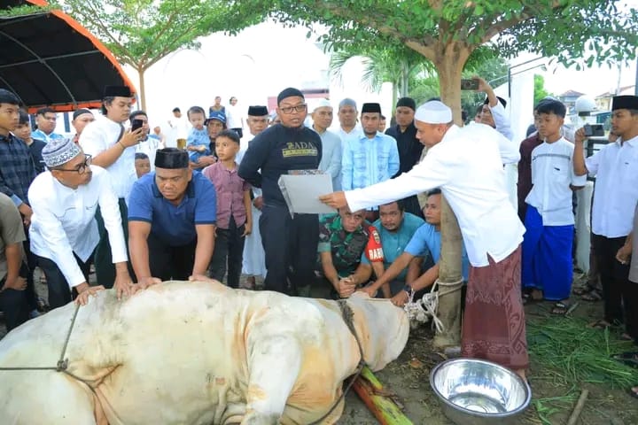 Pemotongan hewan kurban Presiden Prabowo di Kabupaten Labura.