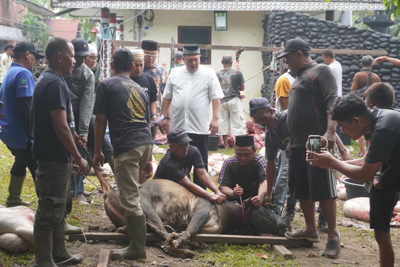 Sekretaris Dinas Pendidikan dan Kebudayaan Kota Medan, Andy Yudhistira menyaksikan penyembelihan hewan kurban di Taman Budaya Kota Medan, Sabtu (7/6/2025).